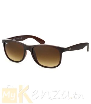 Lunette Ray Ban RB4202 607313