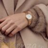 vente-montre-de-marque-daniel-wellington-pour-homme-et-femme-armani-tunisie-meilleure-prix-mykenza (18) (Copier)