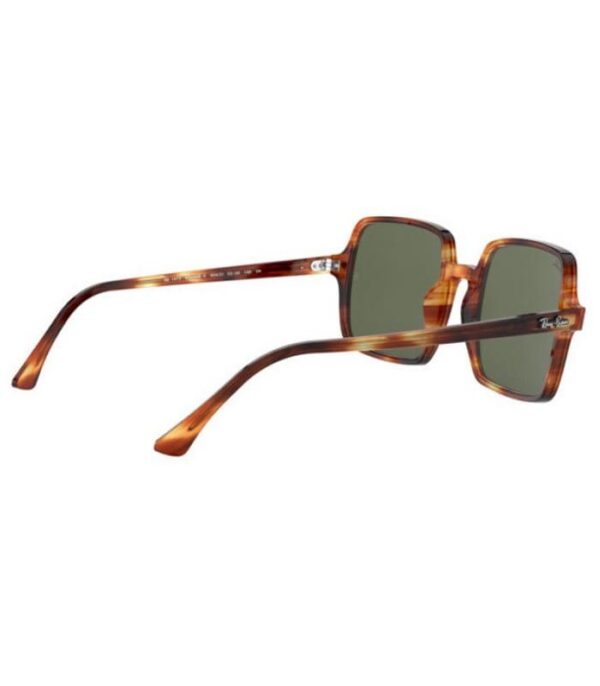 Lunette Ray-Ban RB1973 954 31 Homme ou Femme Tunisie prix